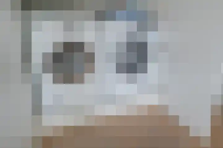 Vlindersingel 216 Utrecht thumbnail 65
