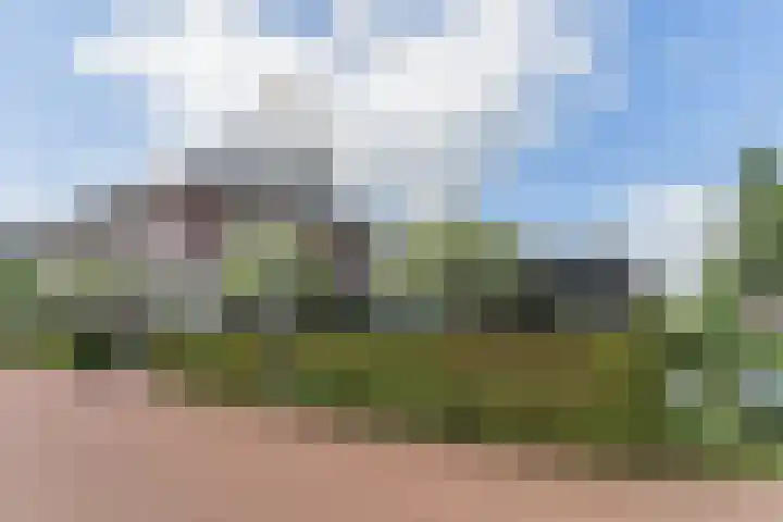 Vlindersingel 216 Utrecht thumbnail 72