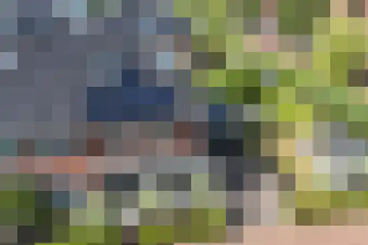 Vlindersingel 216 Utrecht thumbnail 73