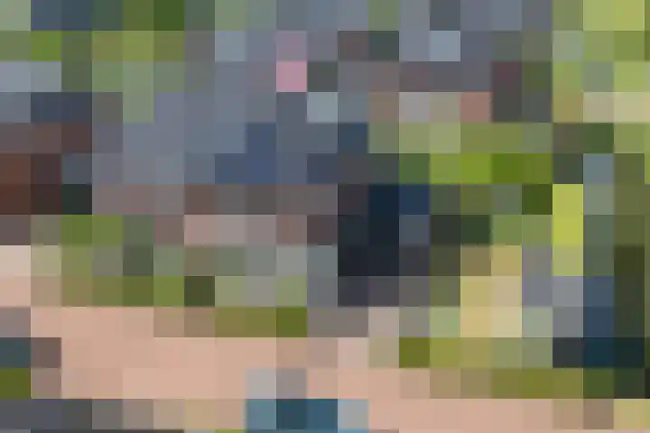 Vlindersingel 216 Utrecht thumbnail 74