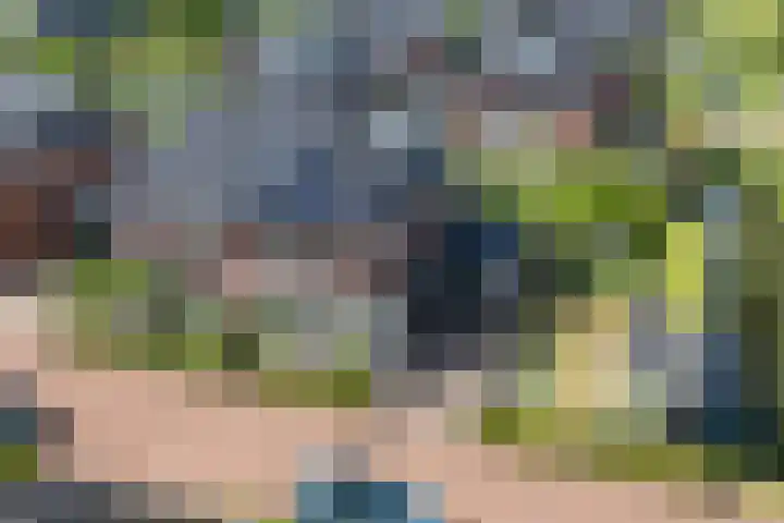 Vlindersingel 216 Utrecht thumbnail 75