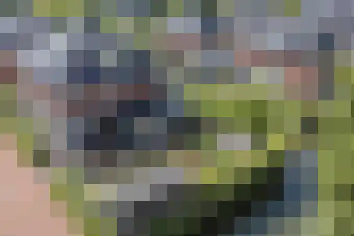 Vlindersingel 216 Utrecht thumbnail 76