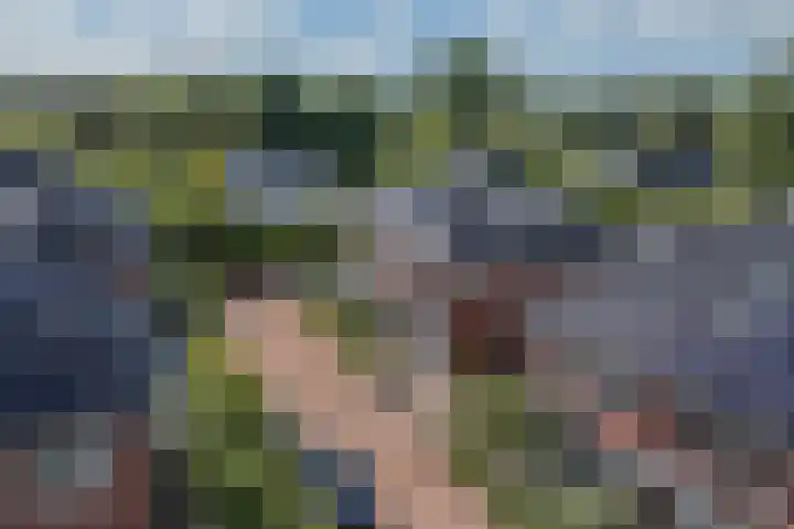Vlindersingel 216 Utrecht thumbnail 77
