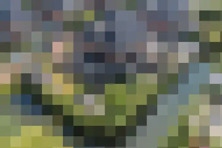 Vlindersingel 216 Utrecht thumbnail 78