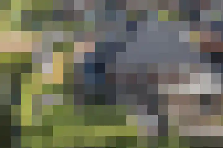 Vlindersingel 216 Utrecht thumbnail 79