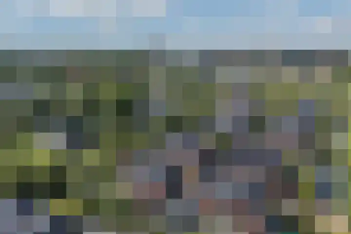 Vlindersingel 216 Utrecht thumbnail 81