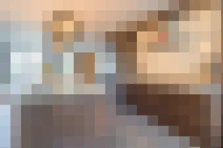 Vlindersingel 216 Utrecht thumbnail 9