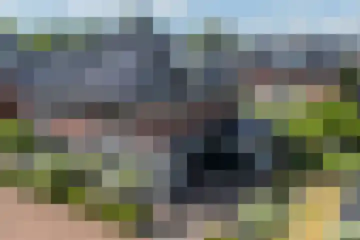 Vlindersingel 216 Utrecht thumbnail 92