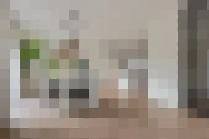 Vlindersingel 230 Utrecht thumbnail 13