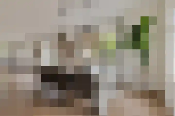 Vlindersingel 230 Utrecht thumbnail 17