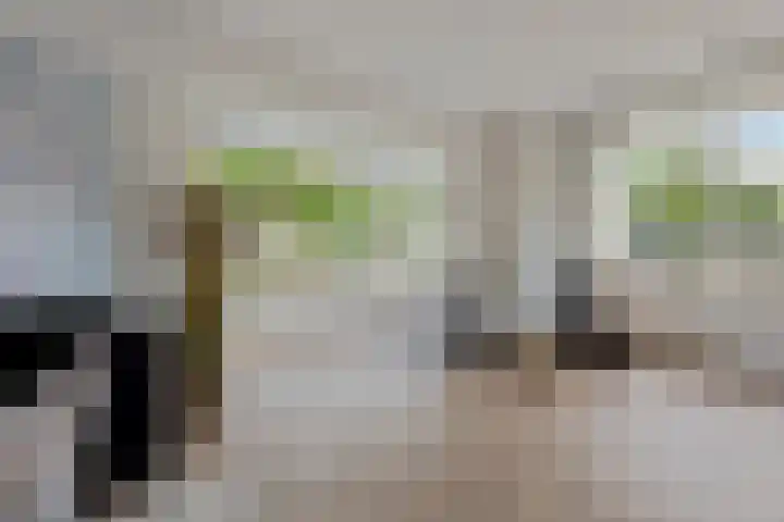 Vlindersingel 230 Utrecht thumbnail 19
