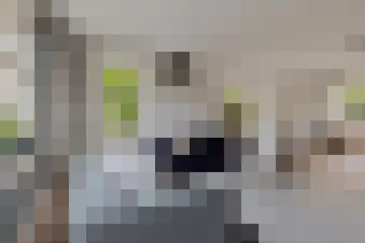 Vlindersingel 230 Utrecht thumbnail 24