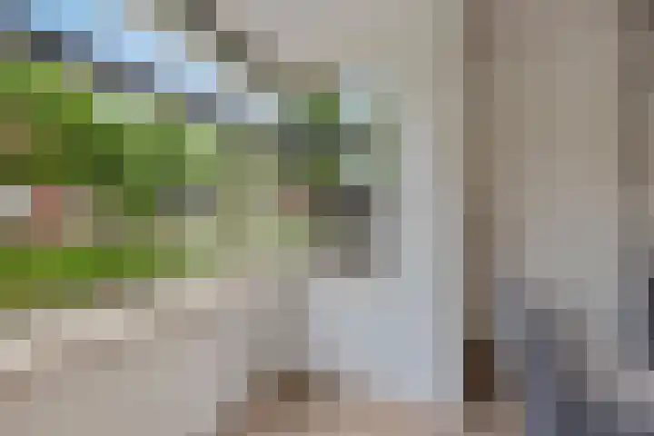 Vlindersingel 230 Utrecht thumbnail 25