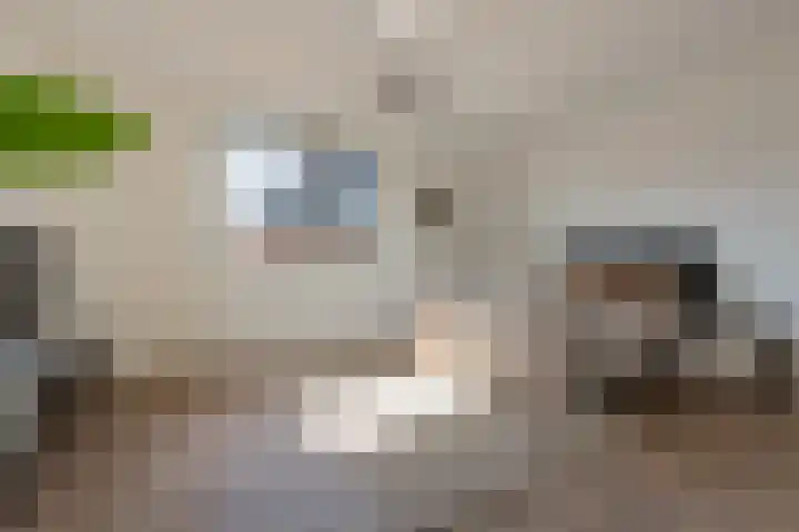Vlindersingel 230 Utrecht thumbnail 28