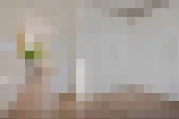 Vlindersingel 230 Utrecht thumbnail 30
