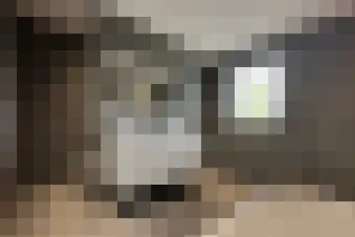 Vlindersingel 230 Utrecht thumbnail 34