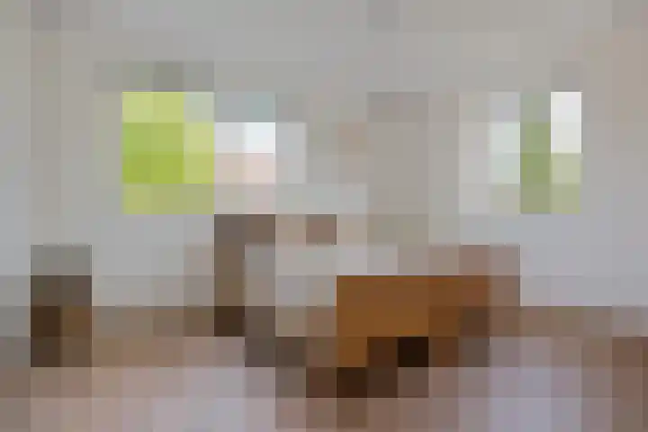 Vlindersingel 230 Utrecht thumbnail 38