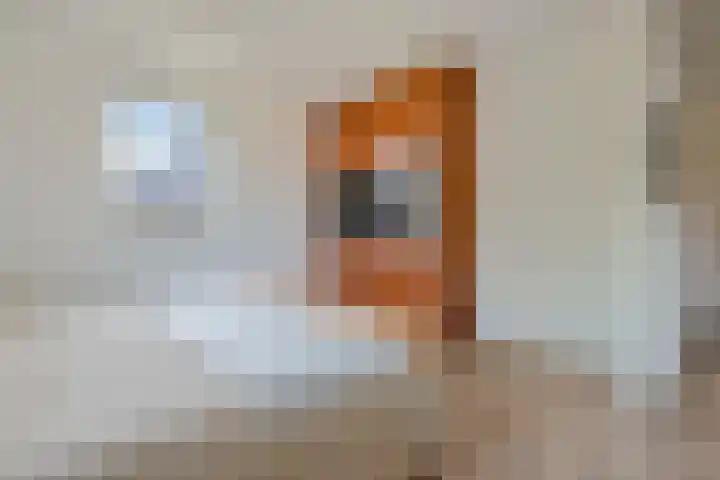 Vlindersingel 230 Utrecht thumbnail 39