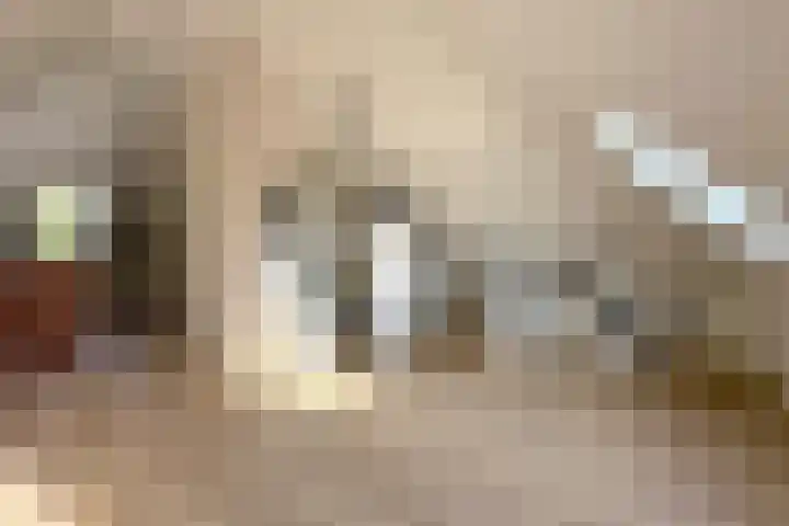 Vlindersingel 230 Utrecht thumbnail 44