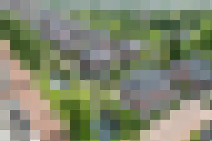 Vlindersingel 230 Utrecht thumbnail 50