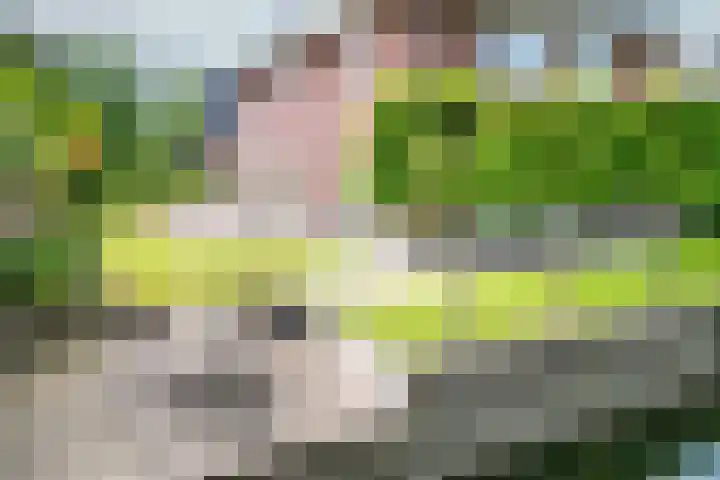 Vlindersingel 230 Utrecht thumbnail 6