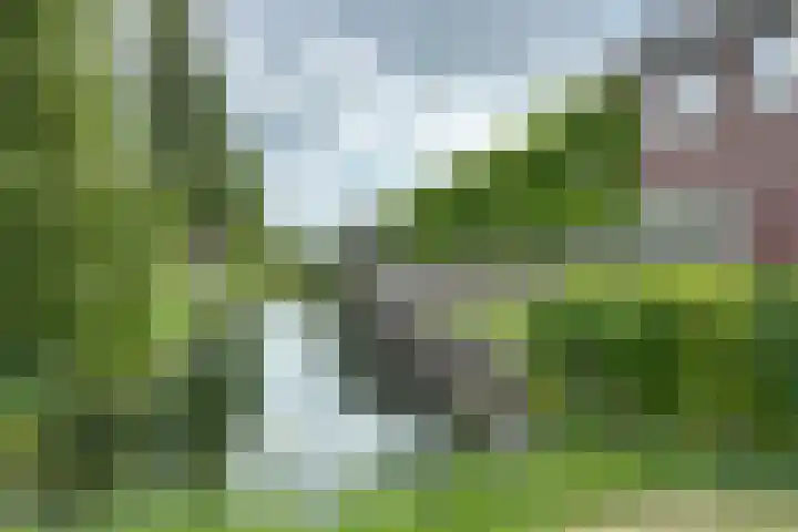 Vlindersingel 230 Utrecht thumbnail 8
