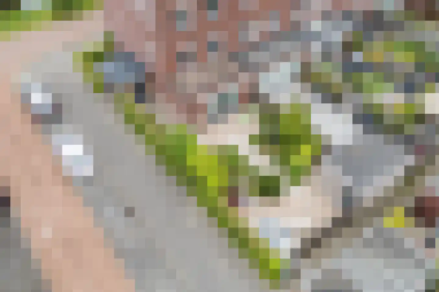 Vlindersingel 245 Utrecht thumbnail 18