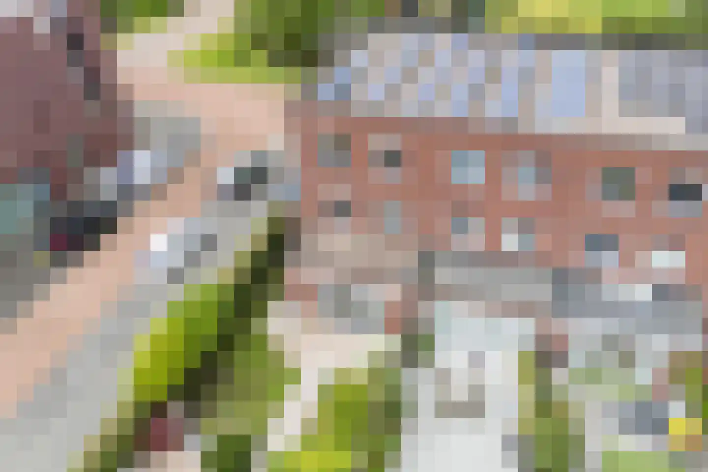Vlindersingel 245 Utrecht thumbnail 19