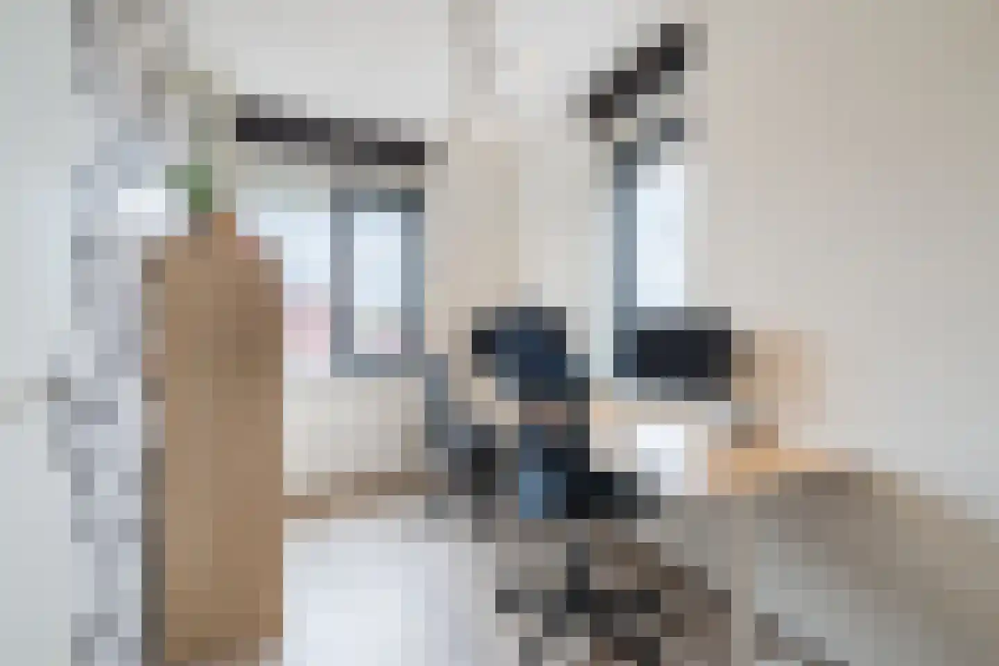 Vlindersingel 245 Utrecht thumbnail 48