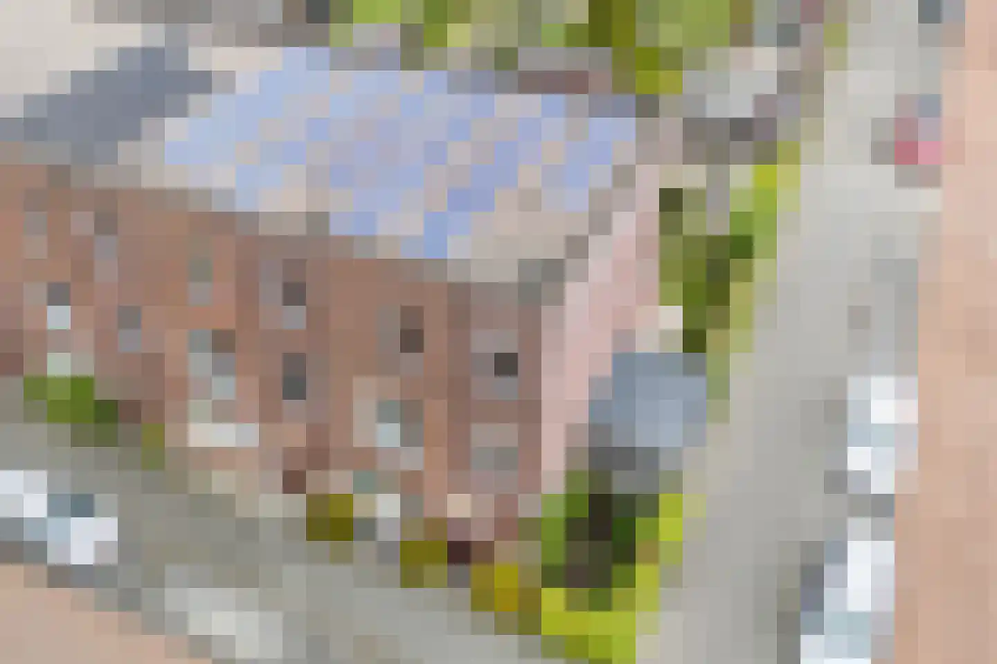 Vlindersingel 245 Utrecht thumbnail 63