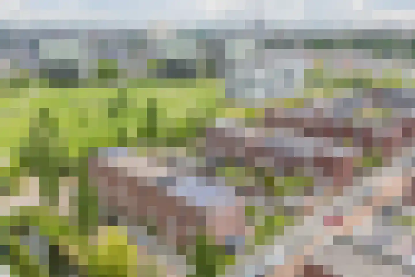 Vlindersingel 245 Utrecht thumbnail 64