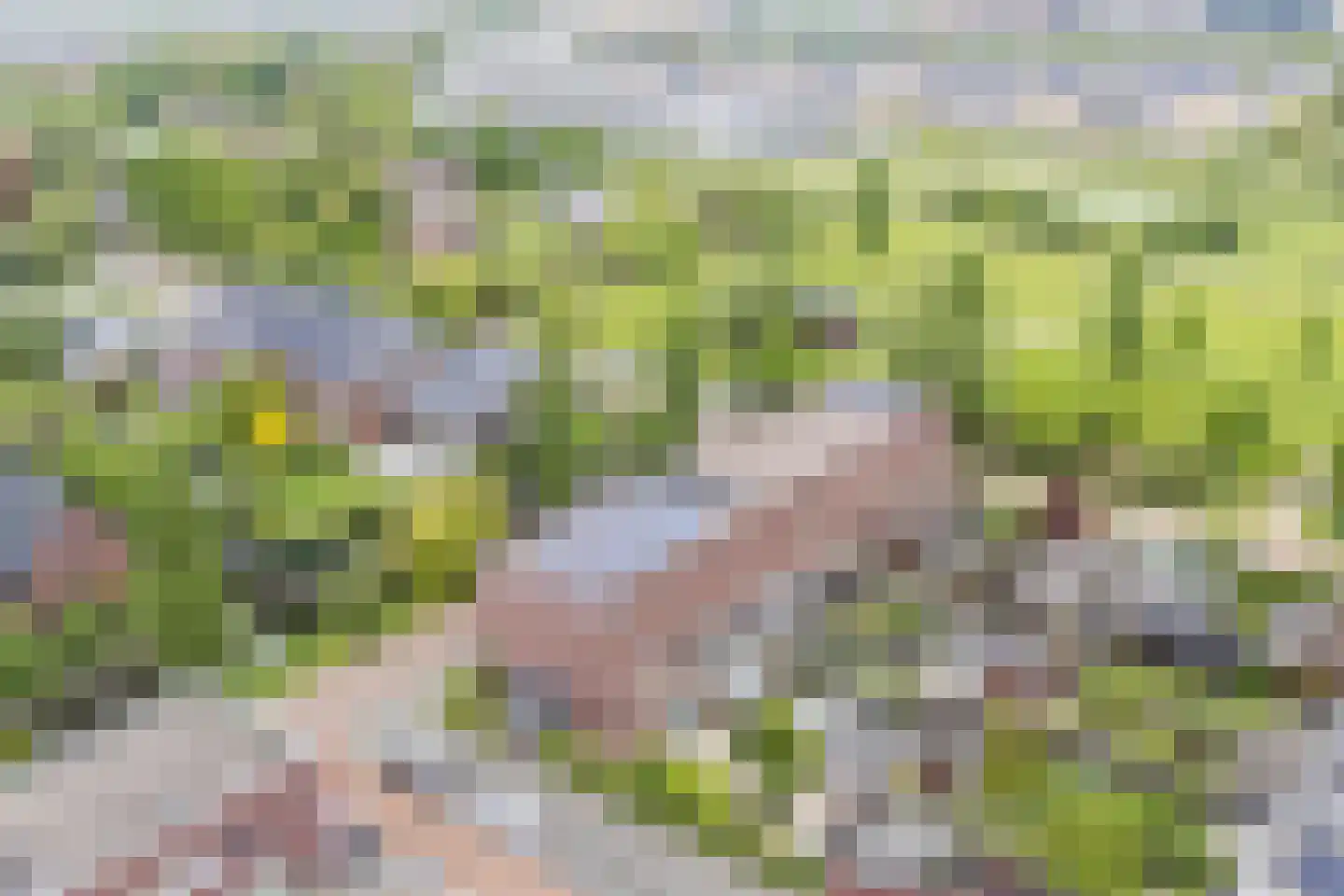Vlindersingel 245 Utrecht thumbnail 65