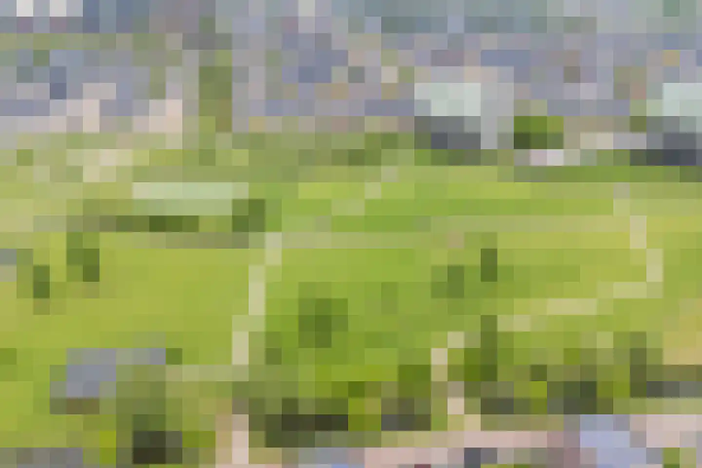 Vlindersingel 245 Utrecht thumbnail 66