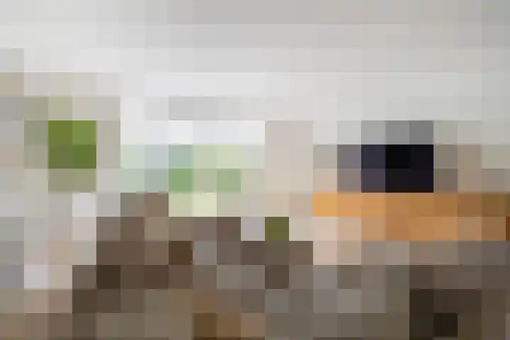 Vlinderslag 21 Zuidoostbeemster thumbnail 13