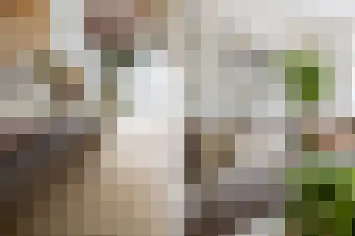 Vlinderslag 21 Zuidoostbeemster thumbnail 14