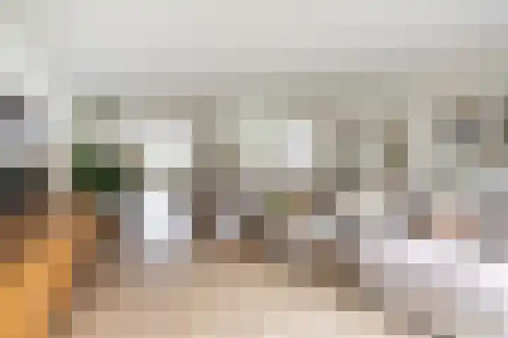 Vlinderslag 21 Zuidoostbeemster thumbnail 15