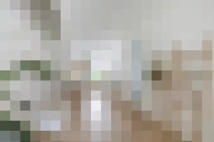 Vlinderslag 21 Zuidoostbeemster thumbnail 16