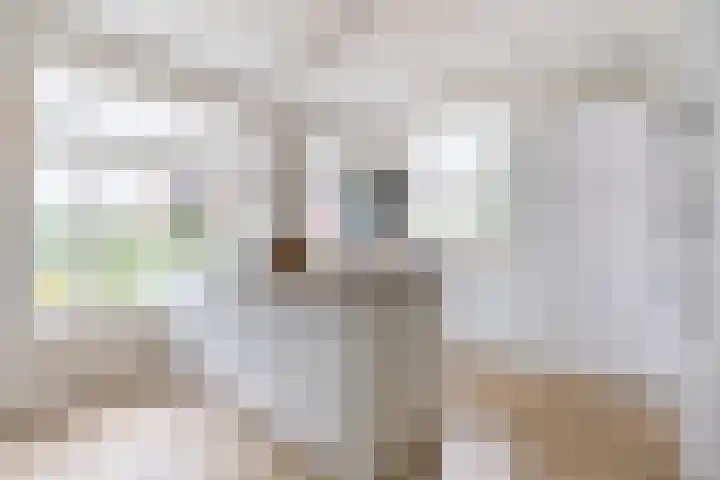 Vlinderslag 21 Zuidoostbeemster thumbnail 19