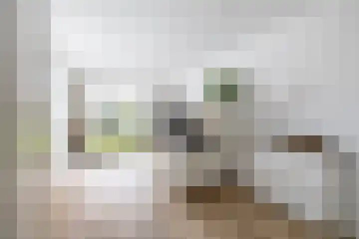 Vlinderslag 21 Zuidoostbeemster thumbnail 24