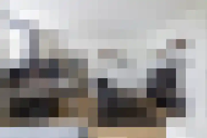 Vlinderslag 21 Zuidoostbeemster thumbnail 33