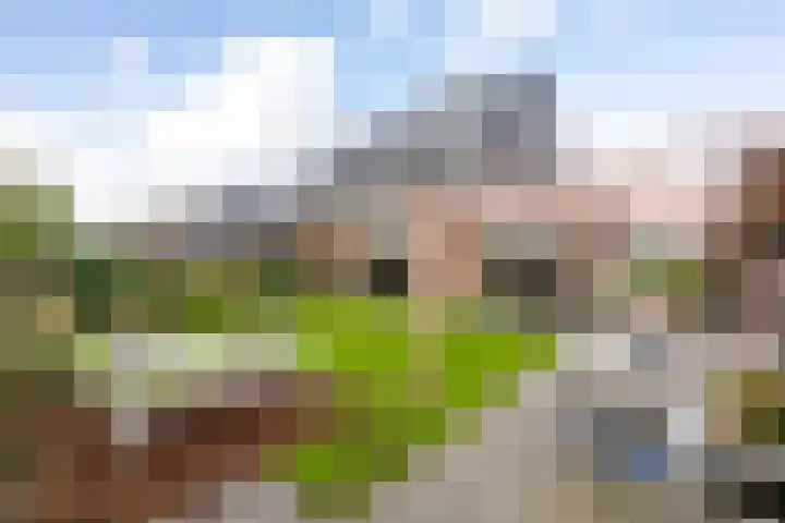 Vlinderslag 21 Zuidoostbeemster thumbnail 4