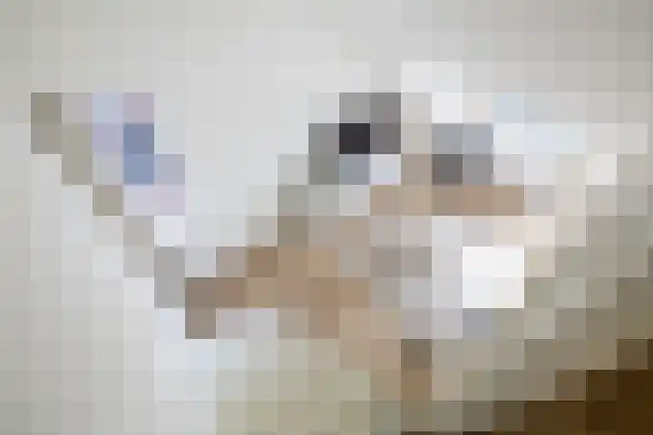 Vlinderslag 21 Zuidoostbeemster thumbnail 50