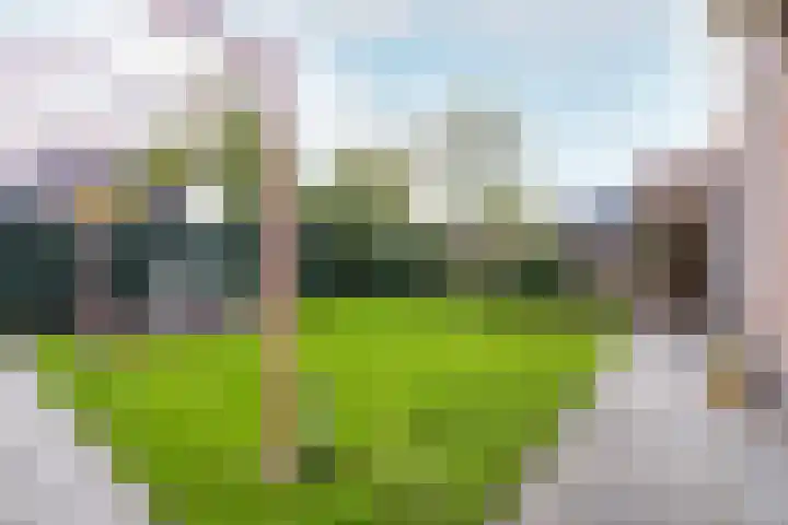 Vlinderslag 21 Zuidoostbeemster thumbnail 52