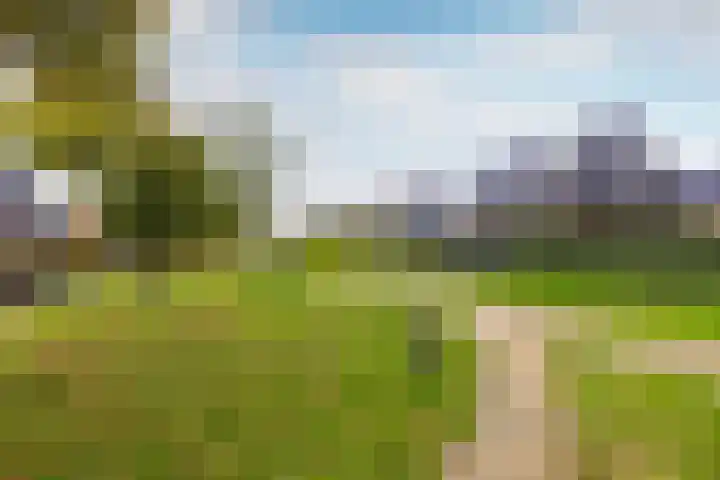 Vlinderslag 21 Zuidoostbeemster thumbnail 56