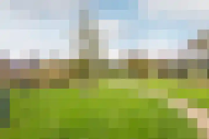 Vlinderslag 21 Zuidoostbeemster thumbnail 59