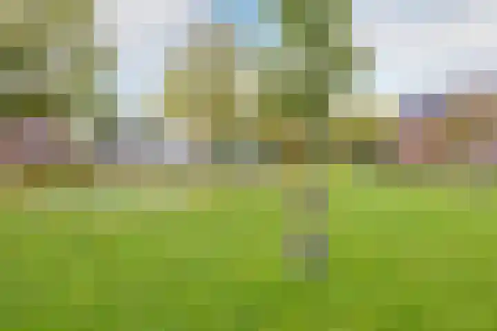 Vlinderslag 21 Zuidoostbeemster thumbnail 62