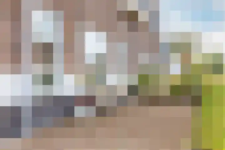 Vlinderslag 21 Zuidoostbeemster thumbnail 7