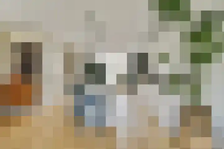 Vlinderslag 22 Zuidoostbeemster thumbnail 11
