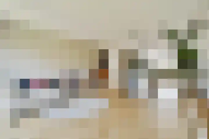 Vlinderslag 22 Zuidoostbeemster thumbnail 13