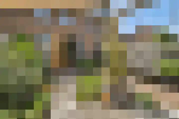 Vlinderslag 22 Zuidoostbeemster thumbnail 18
